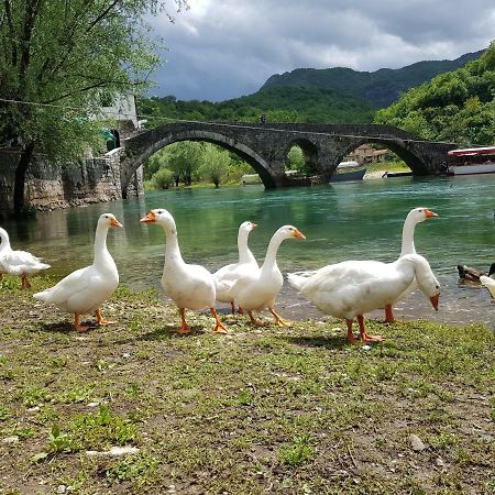 Apartman Jovicevic Pavle Rijeka Crnojevica Luaran gambar